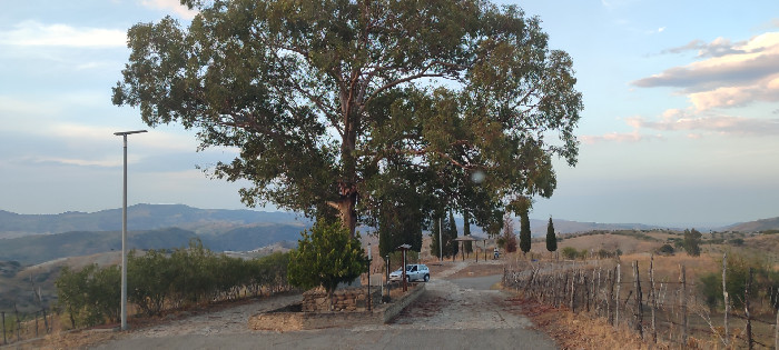 Oggi a Fragalà,